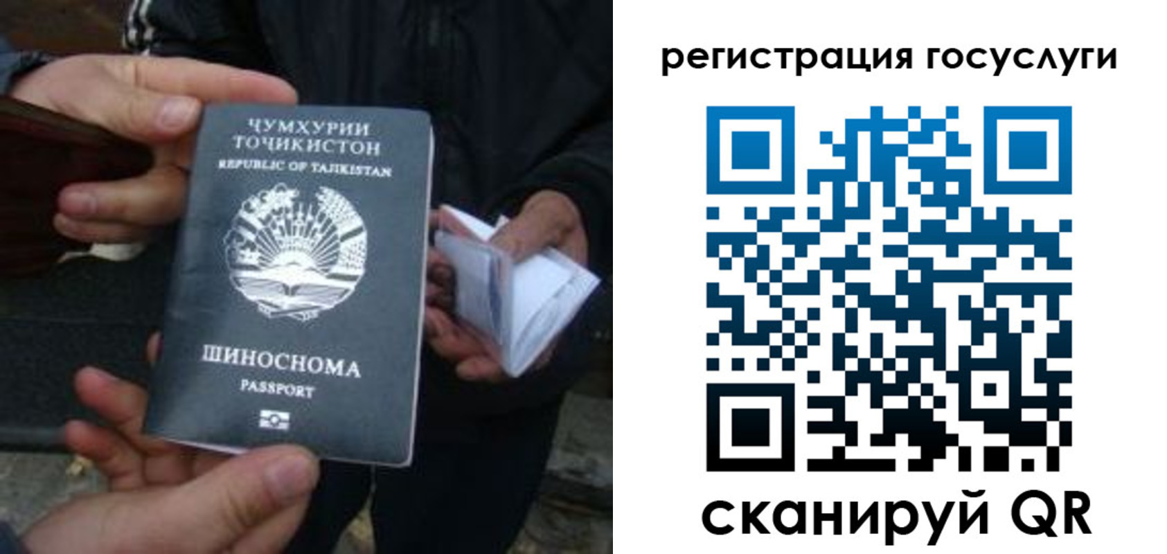 прописка регистрация в Ясногорске